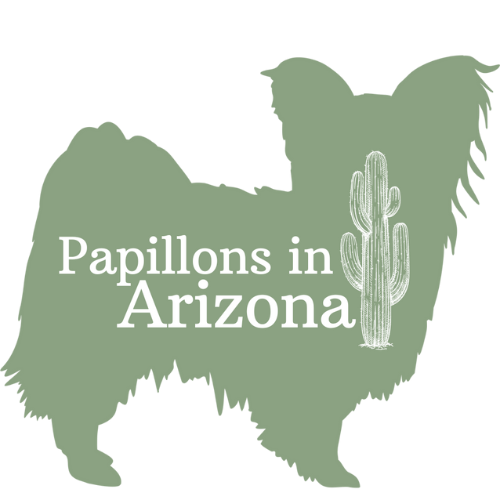 Papillons in Arizona Papillons in Arizona Logo